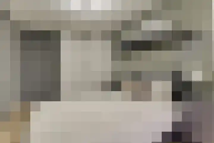 Lijster 78 Hoorn thumbnail 21