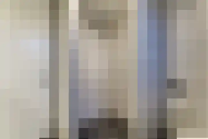 Lijster 78 Hoorn thumbnail 23