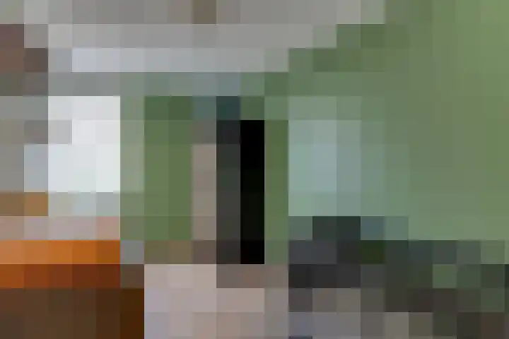 Lijster 78 Hoorn thumbnail 28