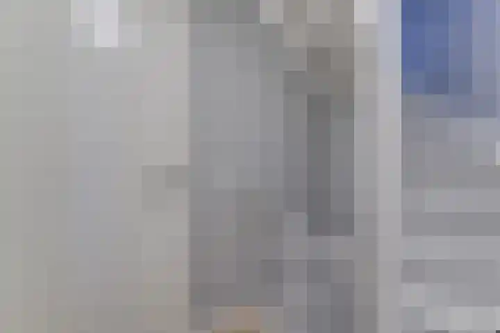 Lijster 78 Hoorn thumbnail 30