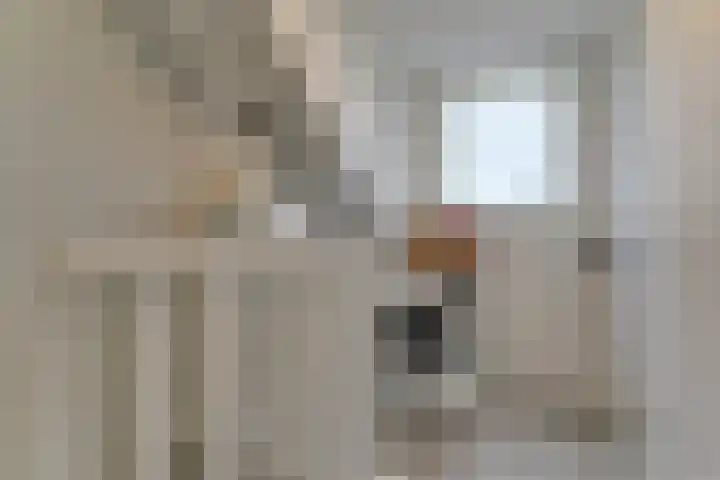 Lijster 78 Hoorn thumbnail 31