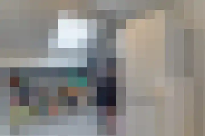 Lijster 78 Hoorn thumbnail 32
