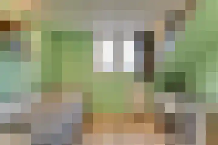 Lijster 78 Hoorn thumbnail 34