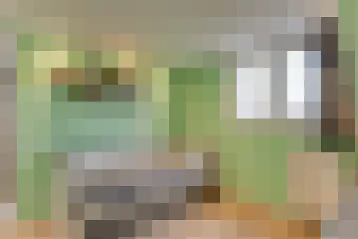 Lijster 78 Hoorn thumbnail 35