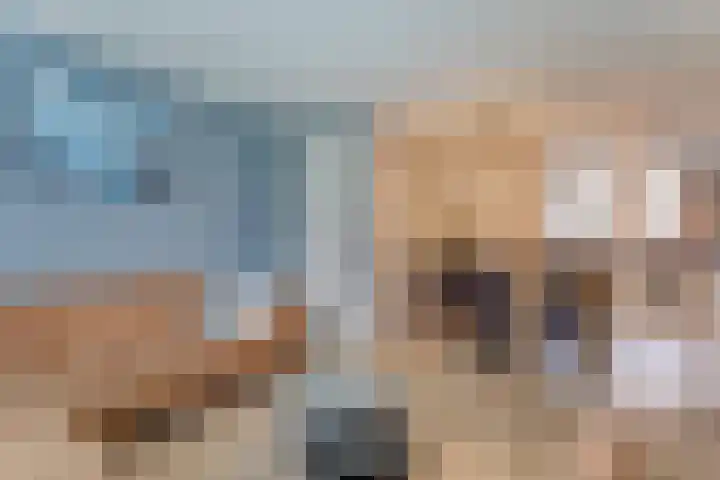 Lijster 78 Hoorn thumbnail 4