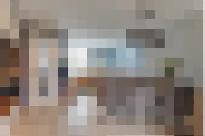 Lijster 78 Hoorn thumbnail 5