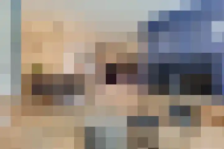 Lijster 78 Hoorn thumbnail 6