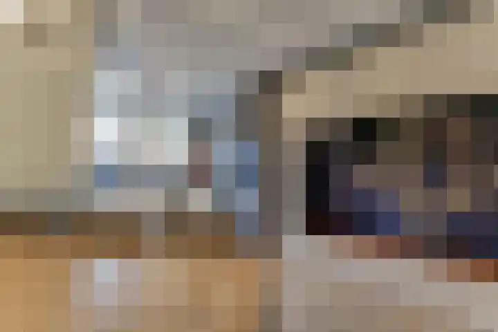 Lijster 78 Hoorn thumbnail 7