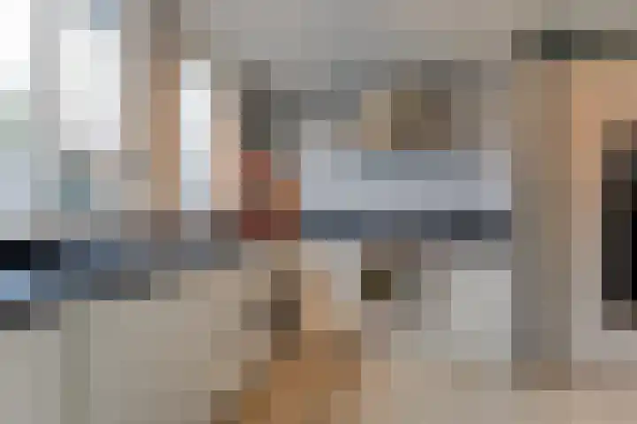 Lijster 78 Hoorn thumbnail 8