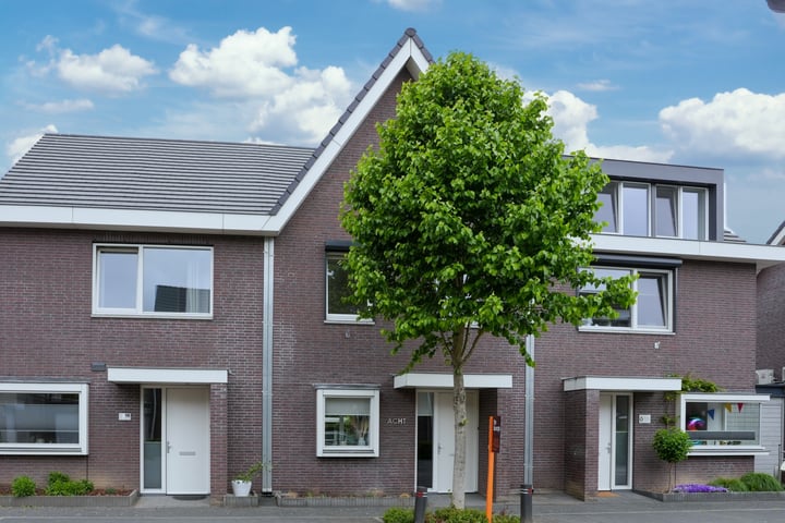 Lijster 8 in Eijsden foto