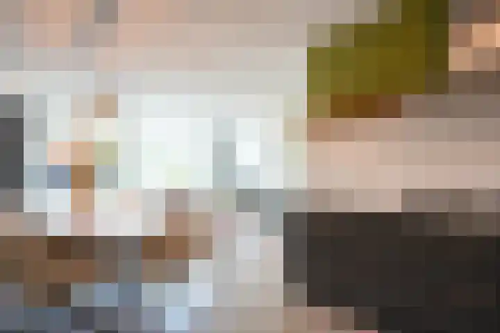 Lijster 8 Eijsden thumbnail 10
