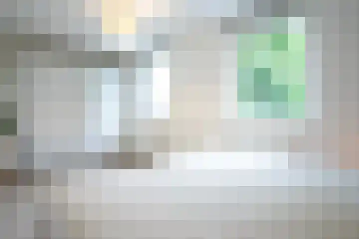 Lijster 8 Eijsden thumbnail 21