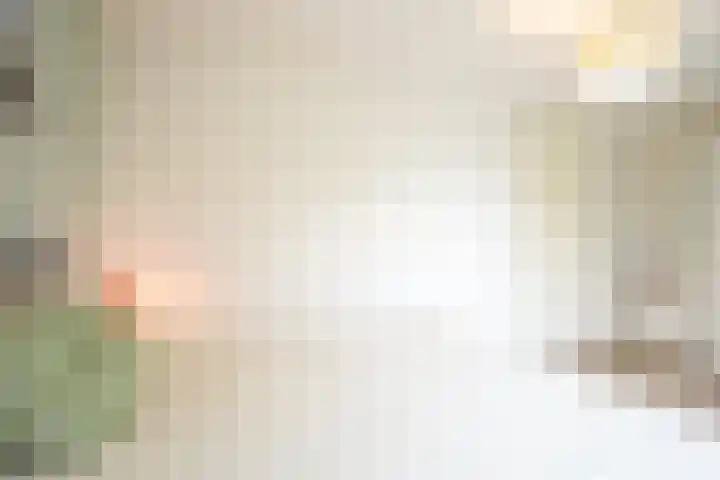 Lijster 8 Eijsden thumbnail 24