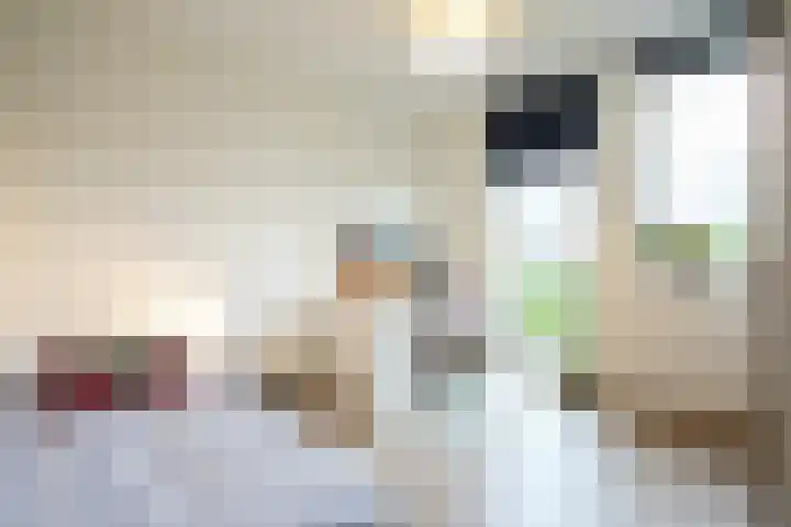 Lijster 8 Eijsden thumbnail 25