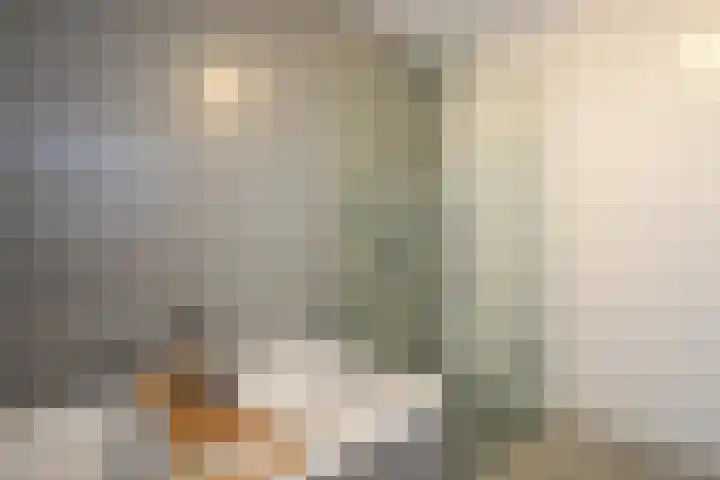 Lijster 8 Eijsden thumbnail 30