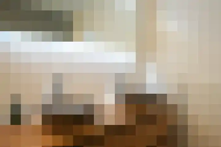 Lijster 8 Eijsden thumbnail 31