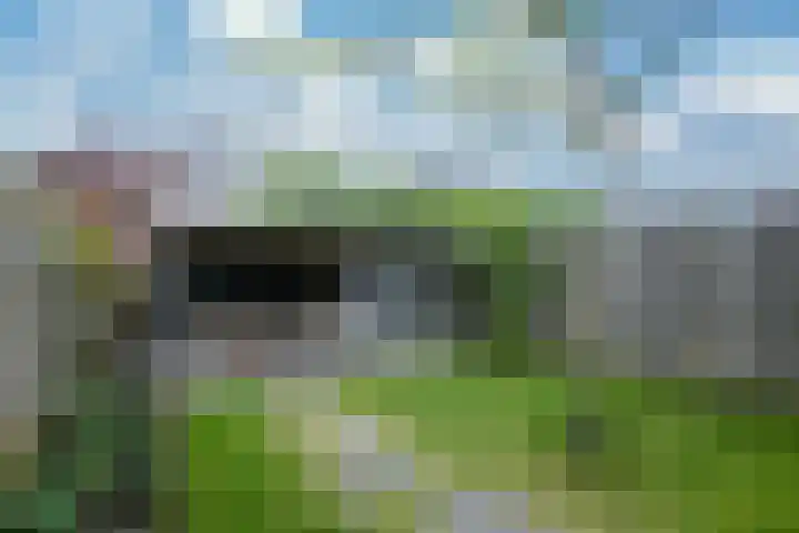 Lijster 8 Eijsden thumbnail 41
