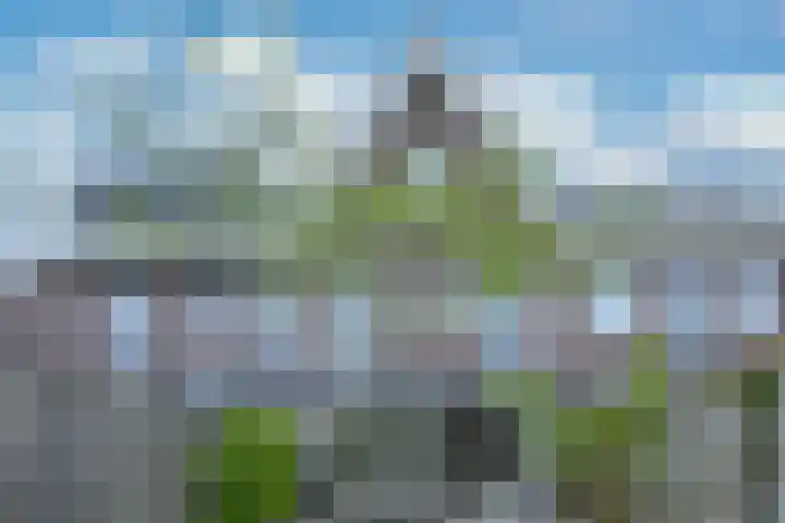 Lijster 8 Eijsden thumbnail 42