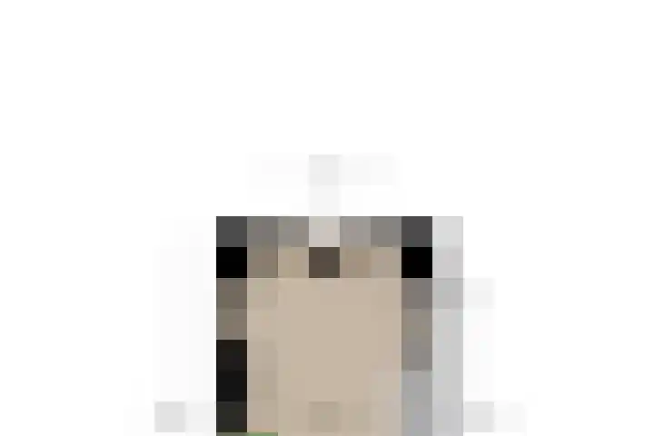 Lijster 8 Eijsden thumbnail 46