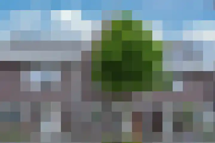 Lijster 8 Eijsden thumbnail 47