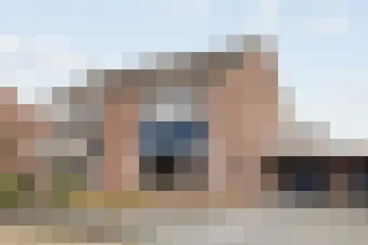 Lijster 83 Raalte
