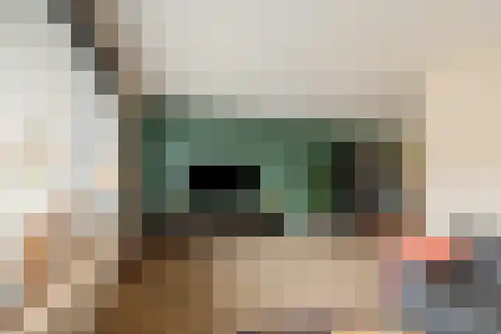 Lijster 83 Raalte thumbnail 10