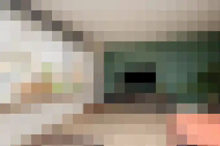 Lijster 83 Raalte thumbnail 11