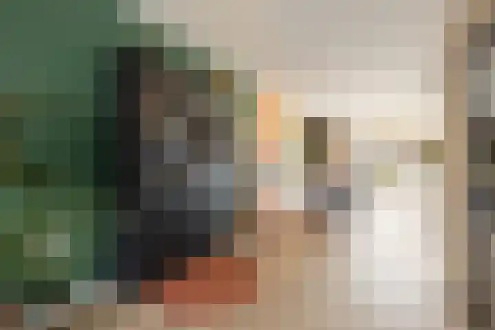 Lijster 83 Raalte thumbnail 12