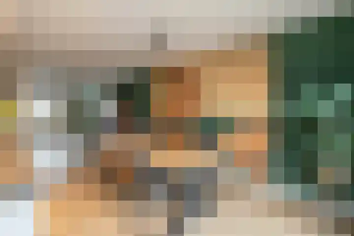 Lijster 83 Raalte thumbnail 14