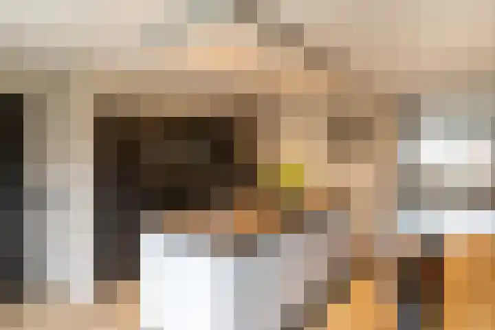 Lijster 83 Raalte thumbnail 16