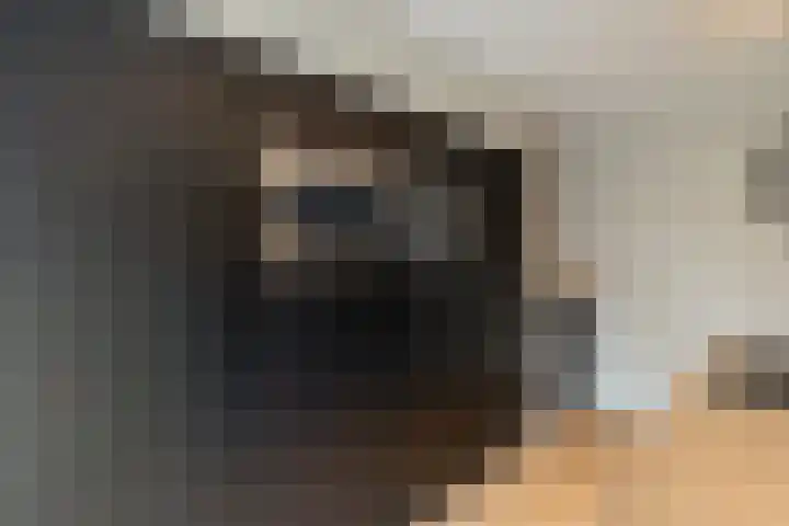 Lijster 83 Raalte thumbnail 17