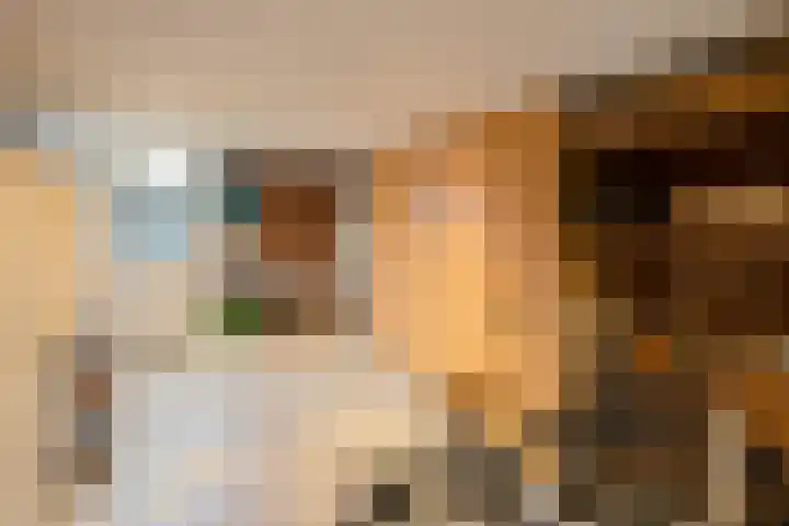 Lijster 83 Raalte thumbnail 19