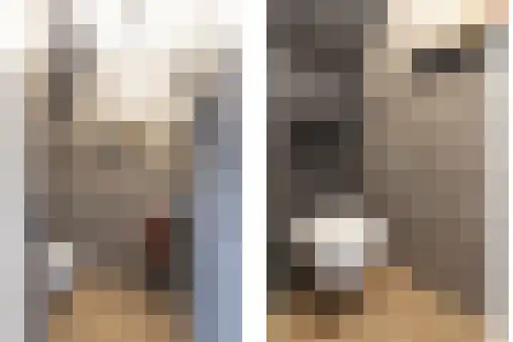 Lijster 83 Raalte thumbnail 21
