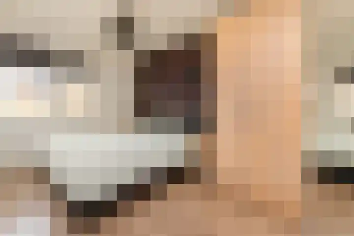 Lijster 83 Raalte thumbnail 23
