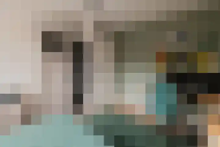 Lijster 83 Raalte thumbnail 28