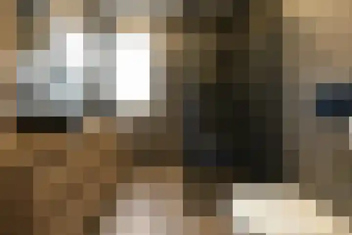 Lijster 83 Raalte thumbnail 30