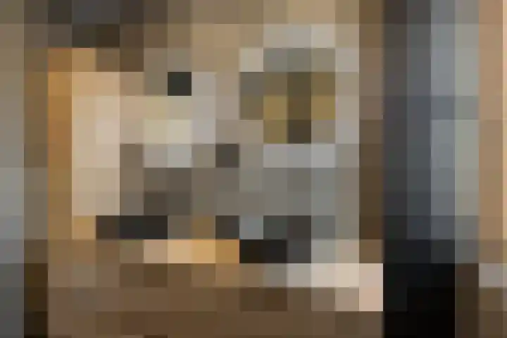 Lijster 83 Raalte thumbnail 31