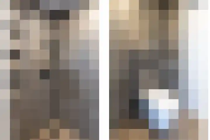 Lijster 83 Raalte thumbnail 32