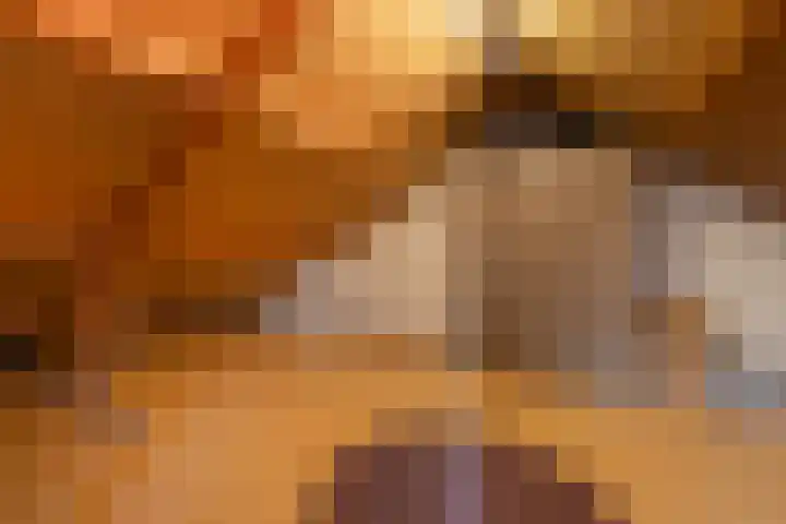 Lijster 83 Raalte thumbnail 35