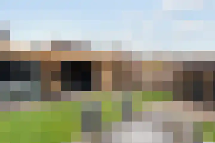 Lijster 83 Raalte thumbnail 36