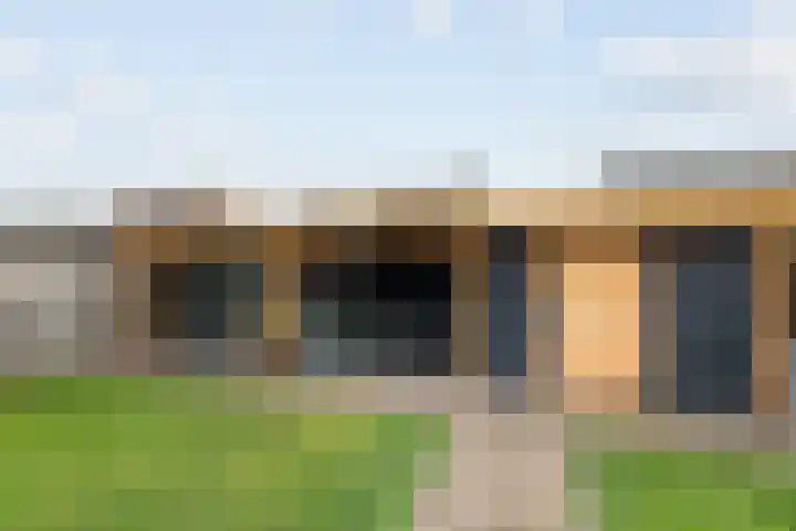 Lijster 83 Raalte thumbnail 37
