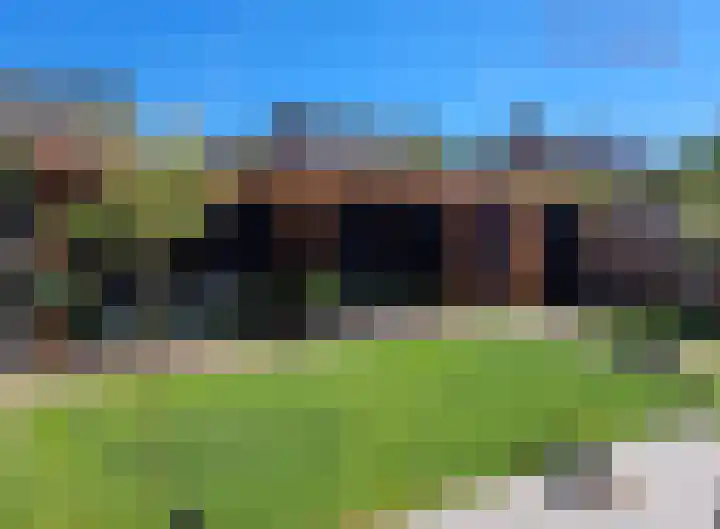 Lijster 83 Raalte thumbnail 38