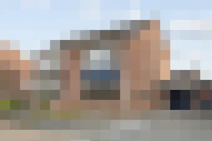 Lijster 83 Raalte thumbnail 4