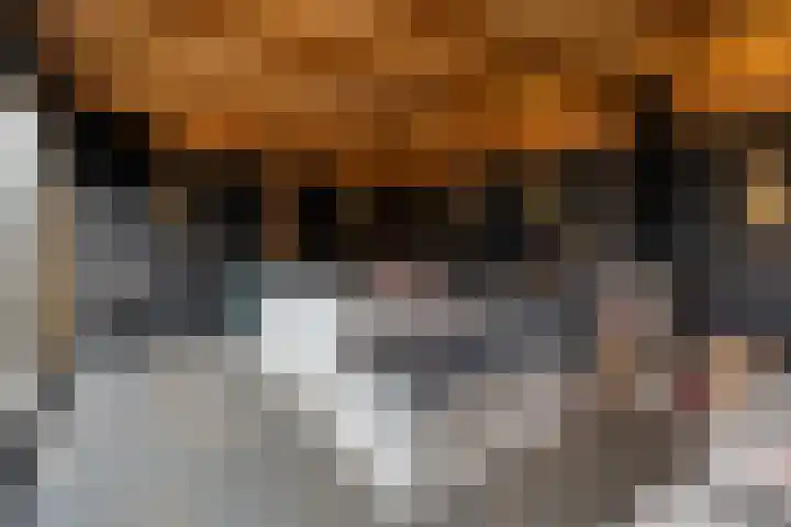 Lijster 83 Raalte thumbnail 40