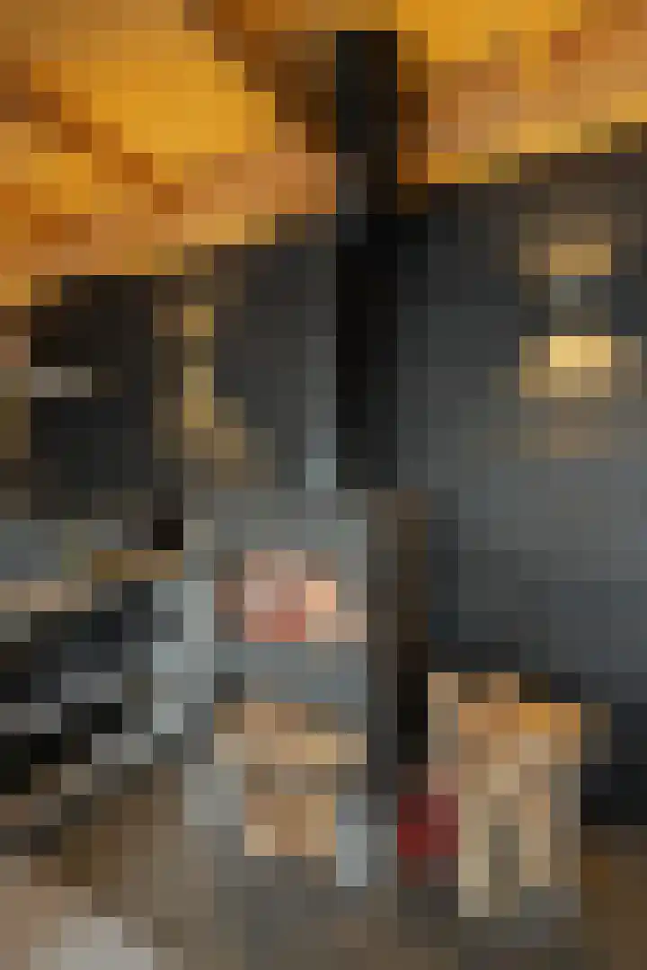 Lijster 83 Raalte thumbnail 43