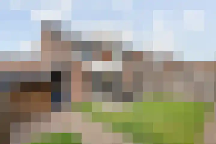 Lijster 83 Raalte thumbnail 44