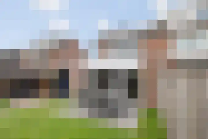 Lijster 83 Raalte thumbnail 45