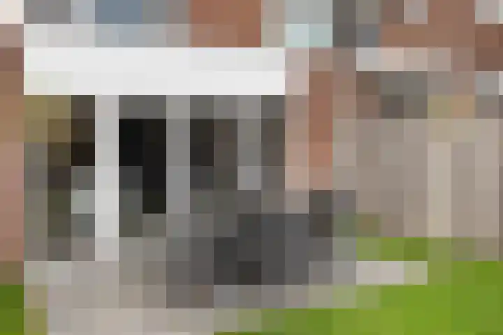 Lijster 83 Raalte thumbnail 46