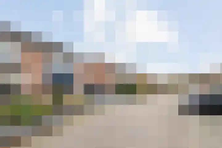Lijster 83 Raalte thumbnail 6