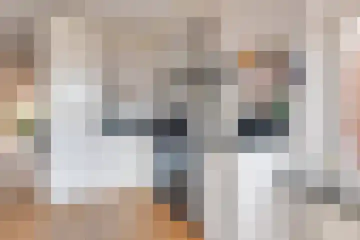 Lijster 83 Spanbroek thumbnail 20